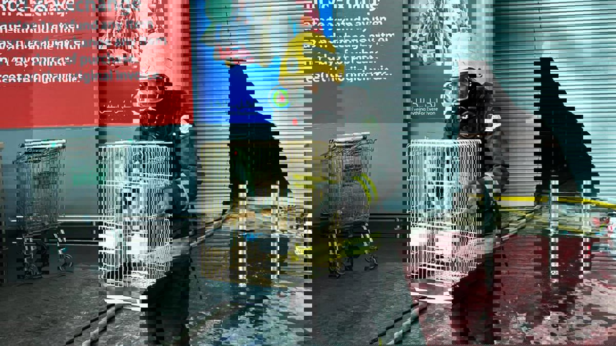 السعوديون يشيدون بجهود الدفاع المدني في إنقاذ الطيور من حريق الظهران