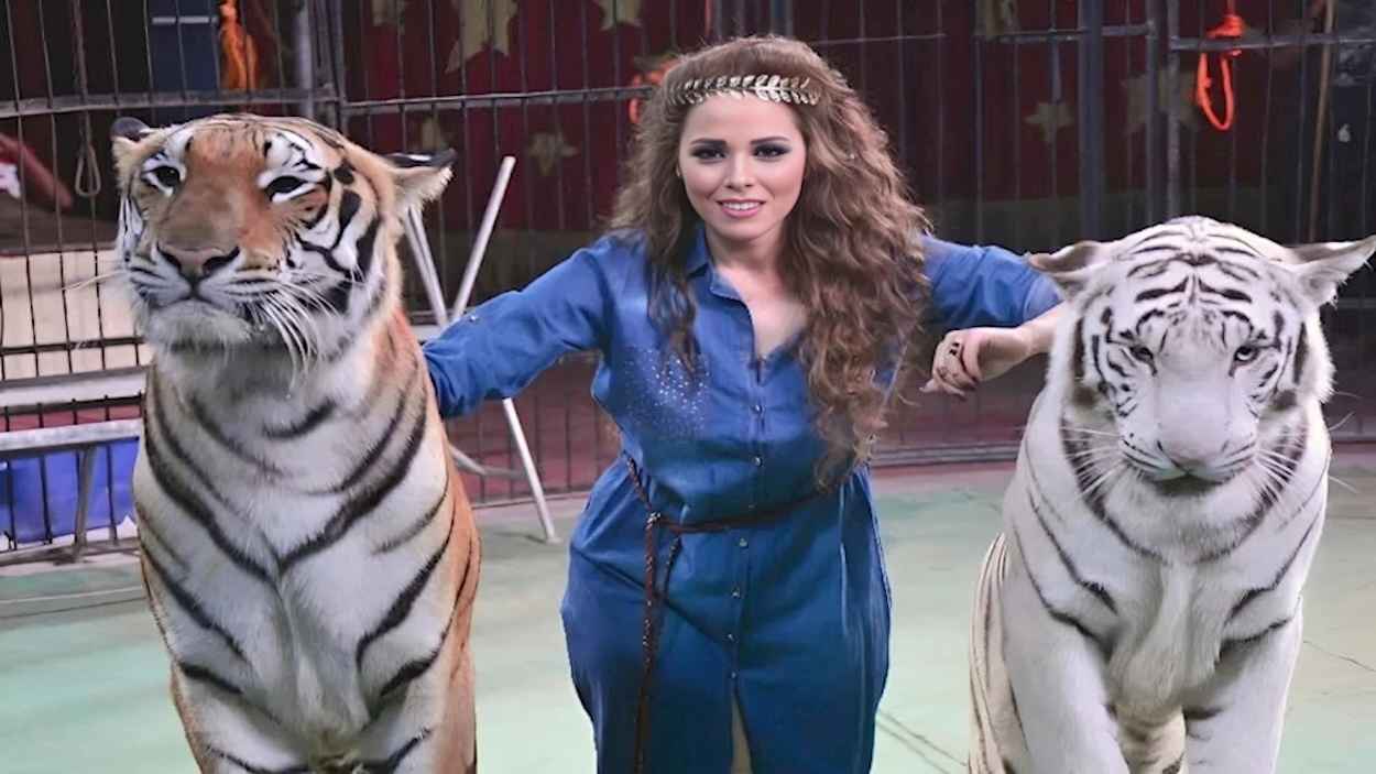 بعد هجوم نمر على عامل.. إخلاء سبيل مدربة أسود مصرية