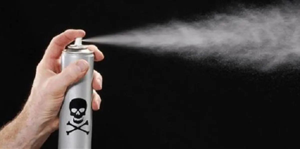 جنوب أفريقيا.. قس يزعم استخدام مبيد حشري لـ"شفاء" الناس