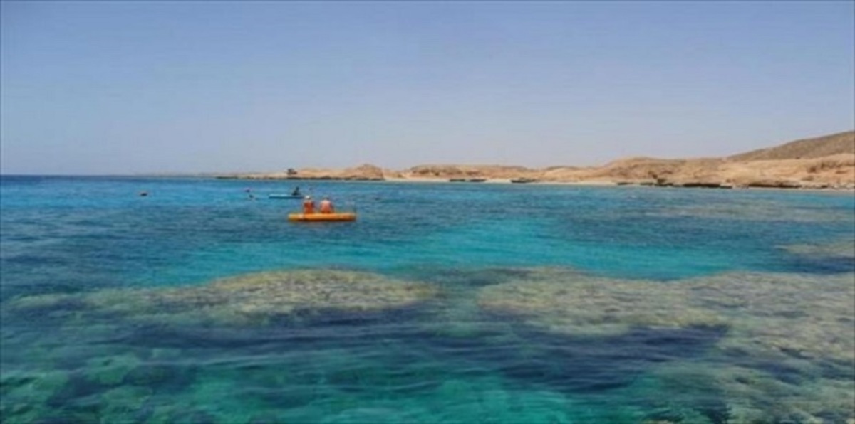 الحكومة المصرية تطعن ببطلان حكم "تيران وصنافير" أمام "الدستورية"