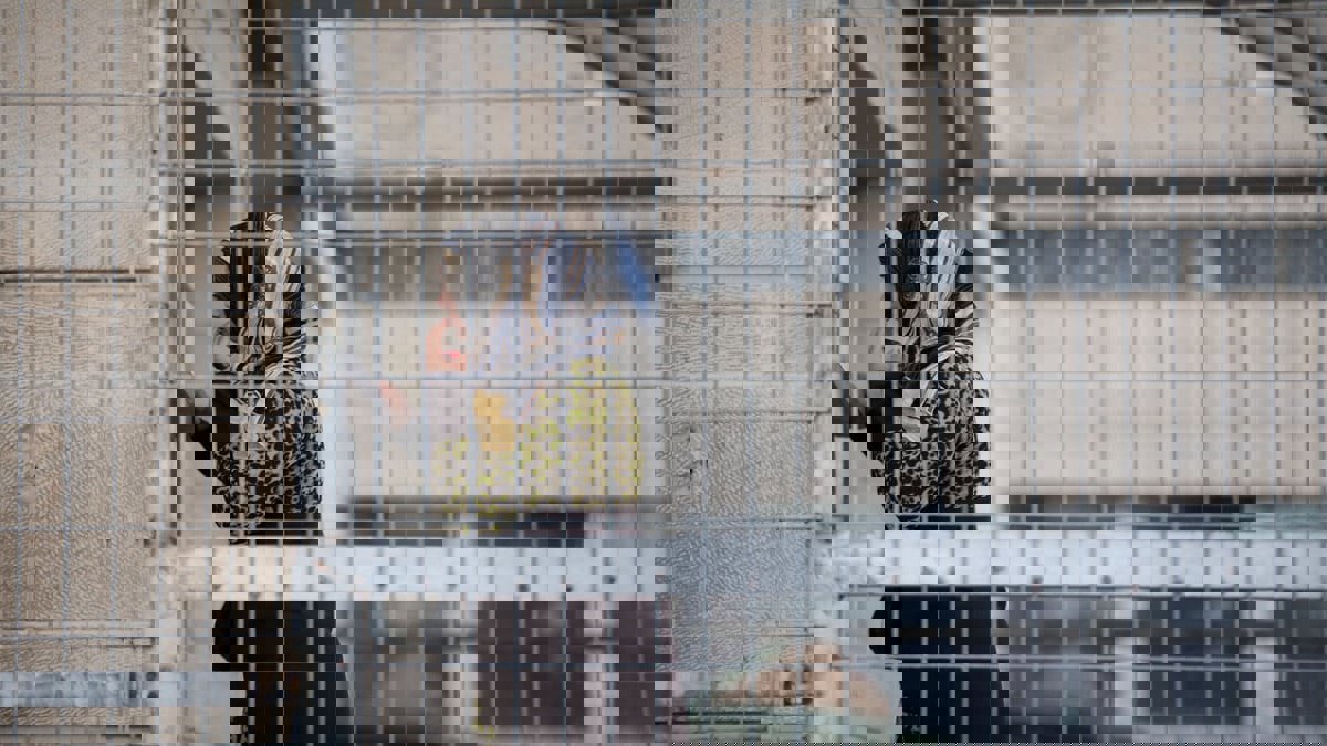 في يوم المرأة.. خالدة جرار تكشف معاناة الأسيرات الفلسطينيات في معتقل "الدامون"