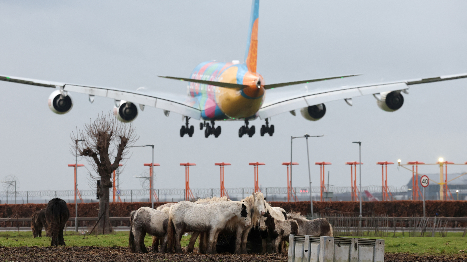 الخيول.. سلاح روسيا الجديد لمواجهة خطر المسيرات الأوكرانية