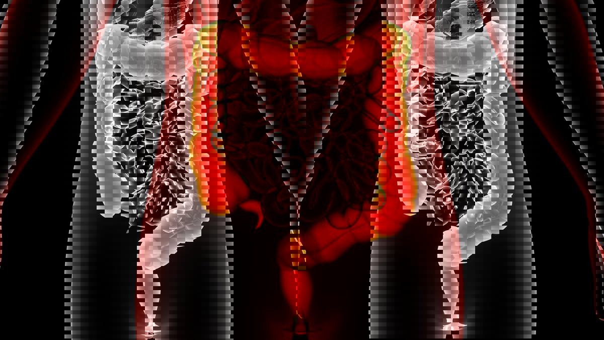 علماء يكتشفون السبب الرئيس لداء الأمعاء الالتهابي