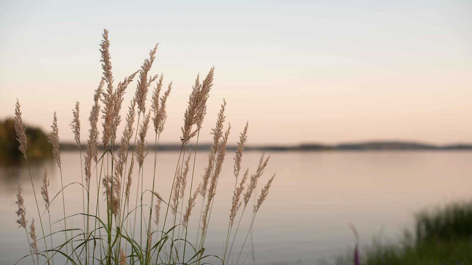 مسن ينجو بأعجوبة بعد سقوط مروع في بحيرة اسكتلندية