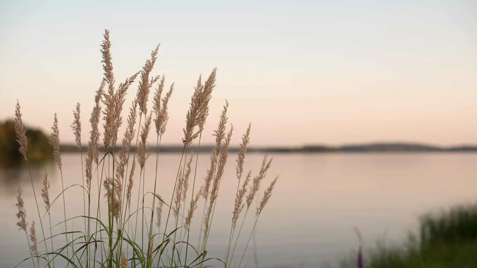 مسن ينجو بأعجوبة بعد سقوط مروع في بحيرة اسكتلندية