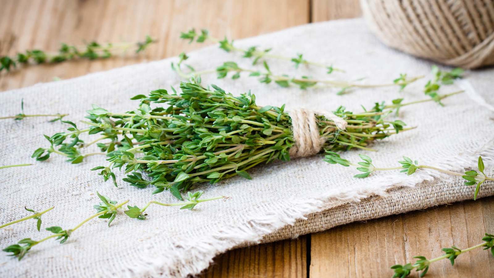 المغرب.. نزاع على "الزعتر" ينتهي بجريمة مروعة