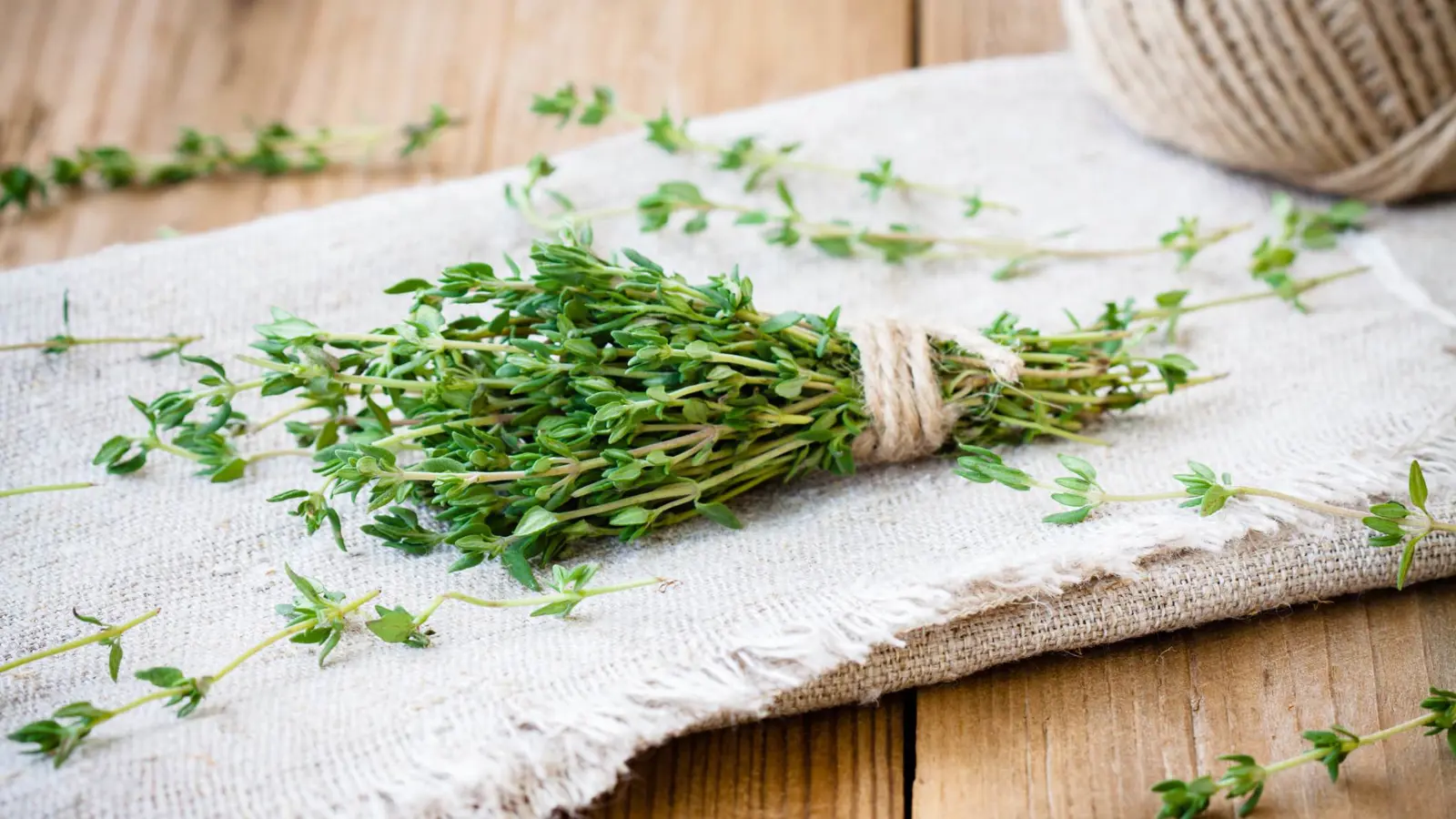 المغرب.. نزاع على "الزعتر" ينتهي بجريمة مروعة