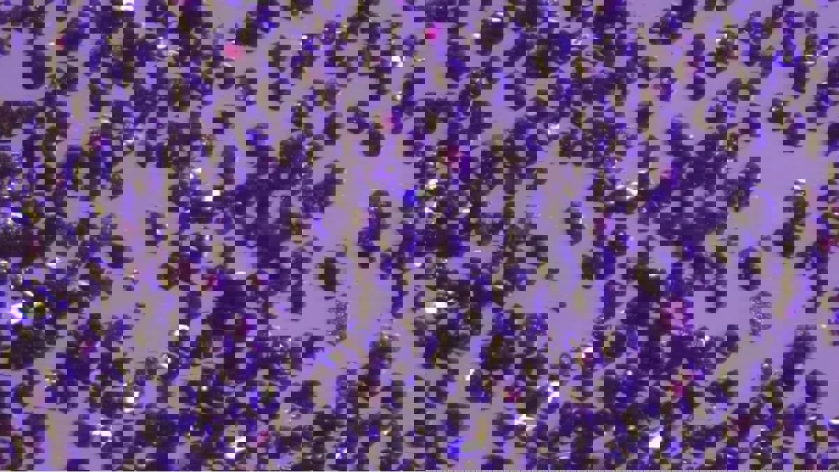 تشبه "الإسفنج".. تطوير مادة لتنظيف الهواء من البنزين