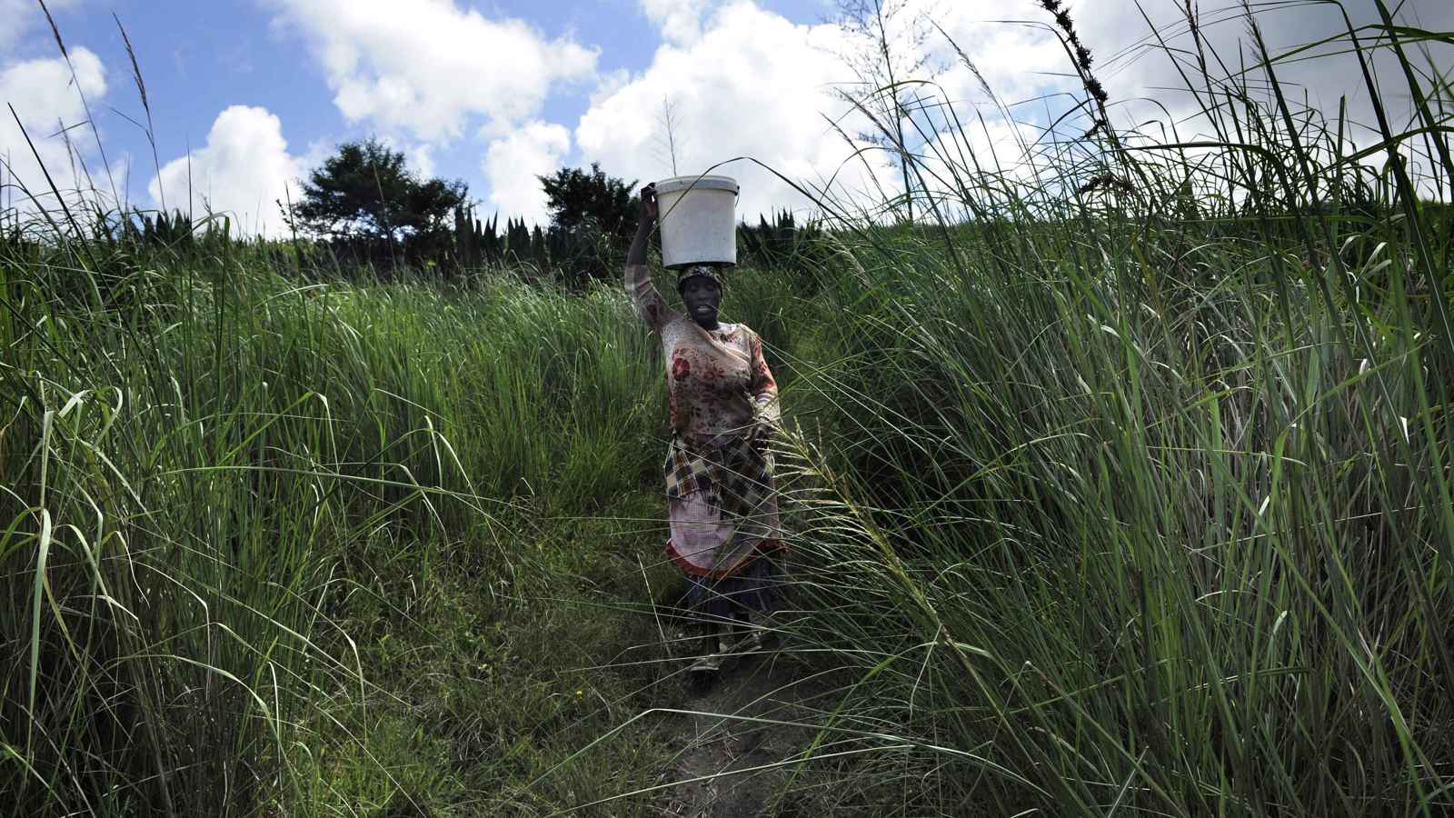 4 أغنياء في أفريقيا تفوق ثروتهم نصف سكان القارة