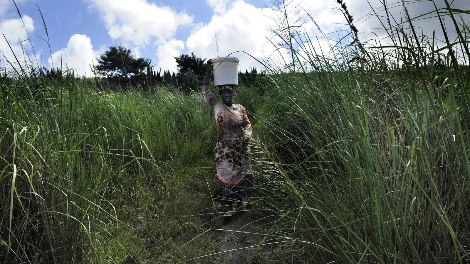 4 أغنياء في أفريقيا تفوق ثروتهم نصف سكان القارة