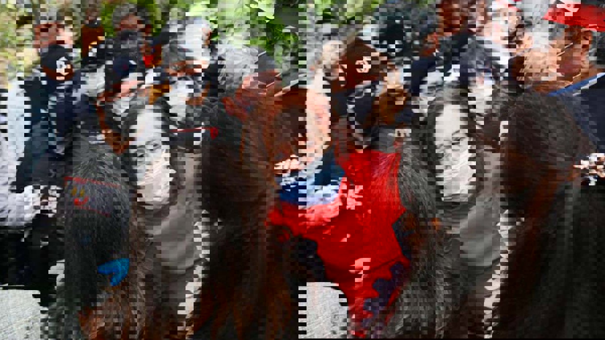 السلطات التركية تقمع مسيرة للعمال في إسطنبول وتوقف مسؤولين نقابيين (صور)