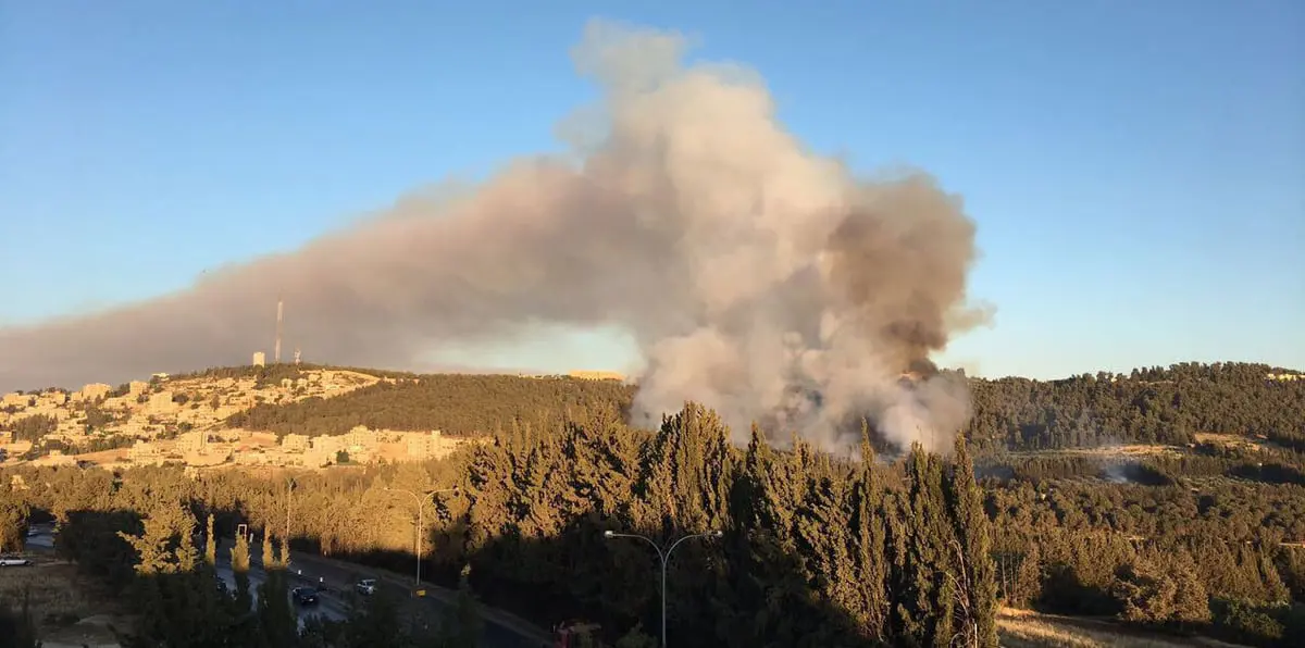 بالفيديو والصور.. حريق داخل محيط القصور الملكية في الأردن