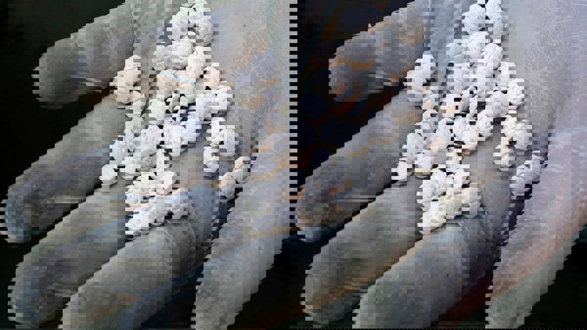 مخبأة في براميل.. السعودية تضبط أكثر من مليون قرص "امفيتامين"