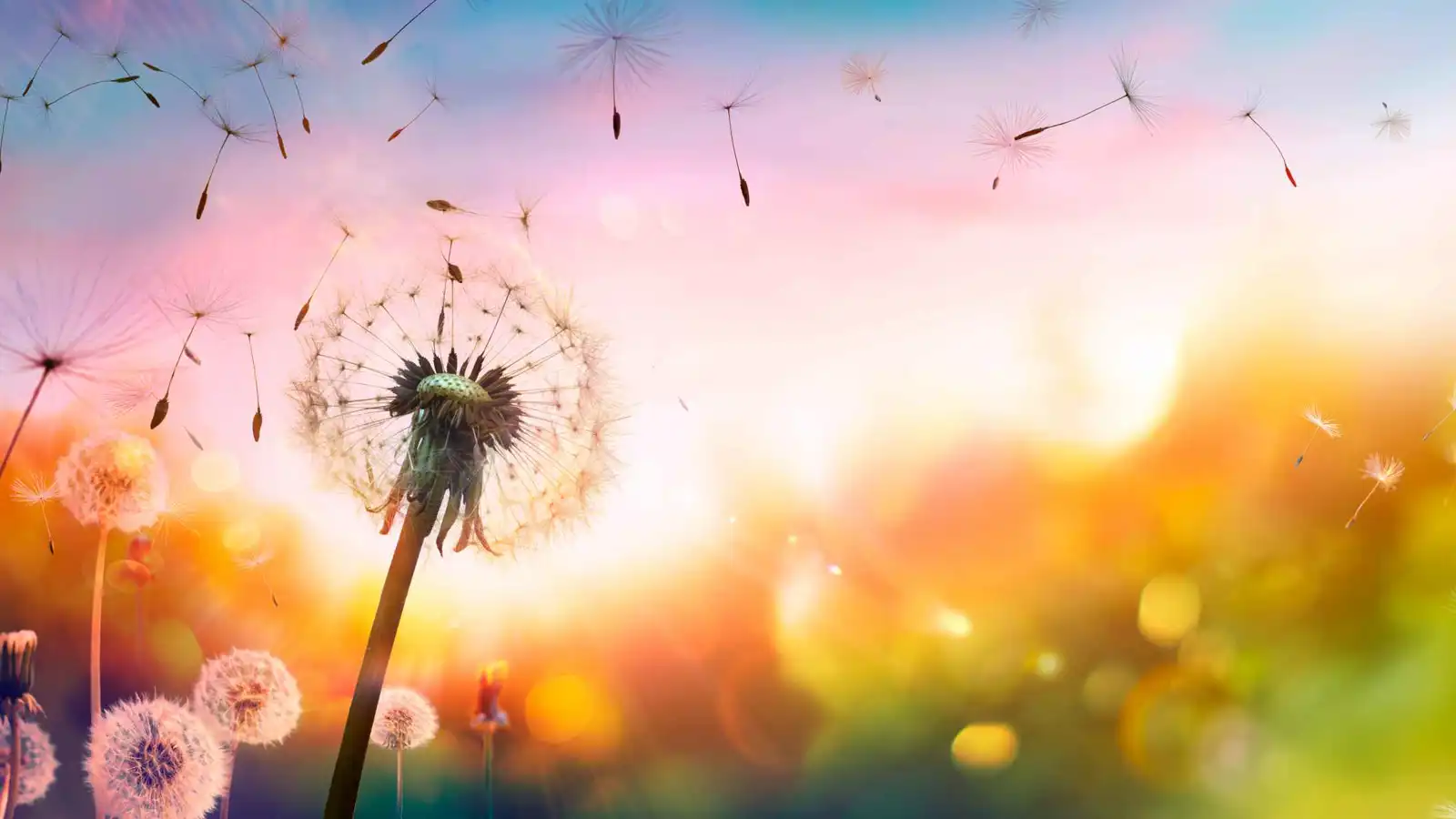 "ربو العواصف".. كيف يعيد تغير المناخ صياغة مواسم الحساسية؟