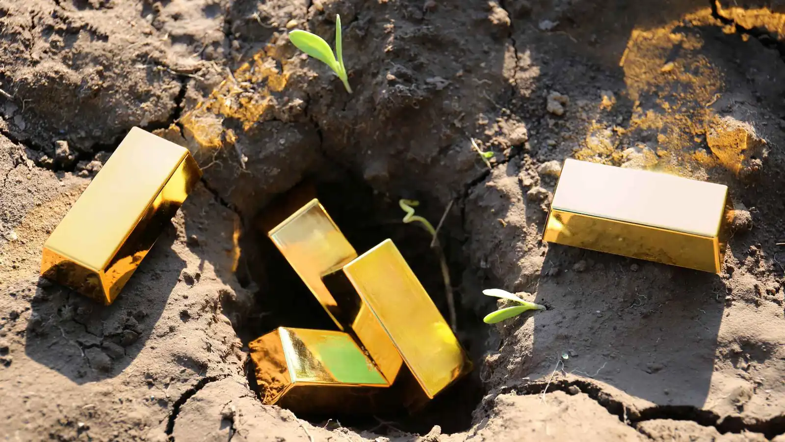 "صدمة" فرنسي بعد التبليغ عن كنز ذهب مدفون في حديقة منزله