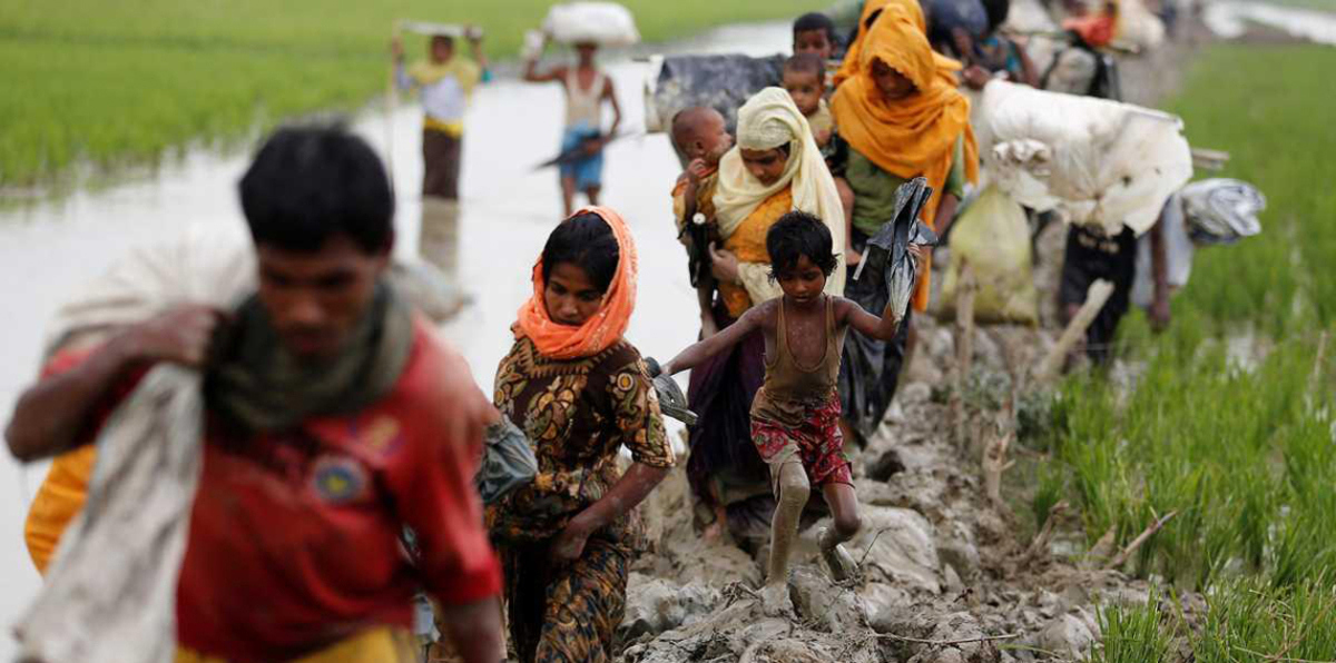 دبلوماسي إسرائيلي يحمّل الروهينغا مسؤولية المجازر في ميانمار