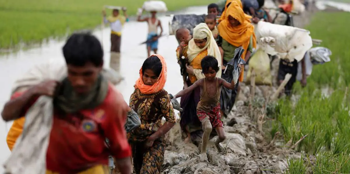 دبلوماسي إسرائيلي يحمّل الروهينغا مسؤولية المجازر في ميانمار