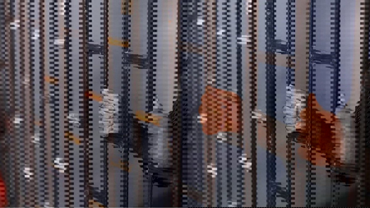 قاتل زوجته وأطفالهما الأربعة في فرنسا: "الأصوات أمرتني بذلك"
