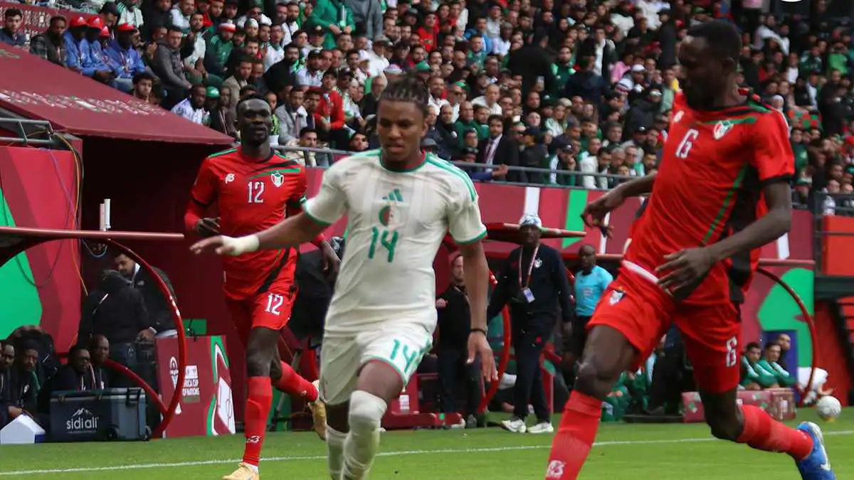 انتظر 20 دقيقة وادخل مجانا.. قرار من أجل مدرجات ممتلئة بالأمم الأفريقية