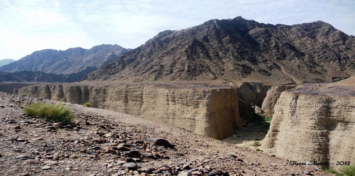 إدراج محمية "وادي الوريعة" الإماراتية بقائمة لـ"اليونسكو"