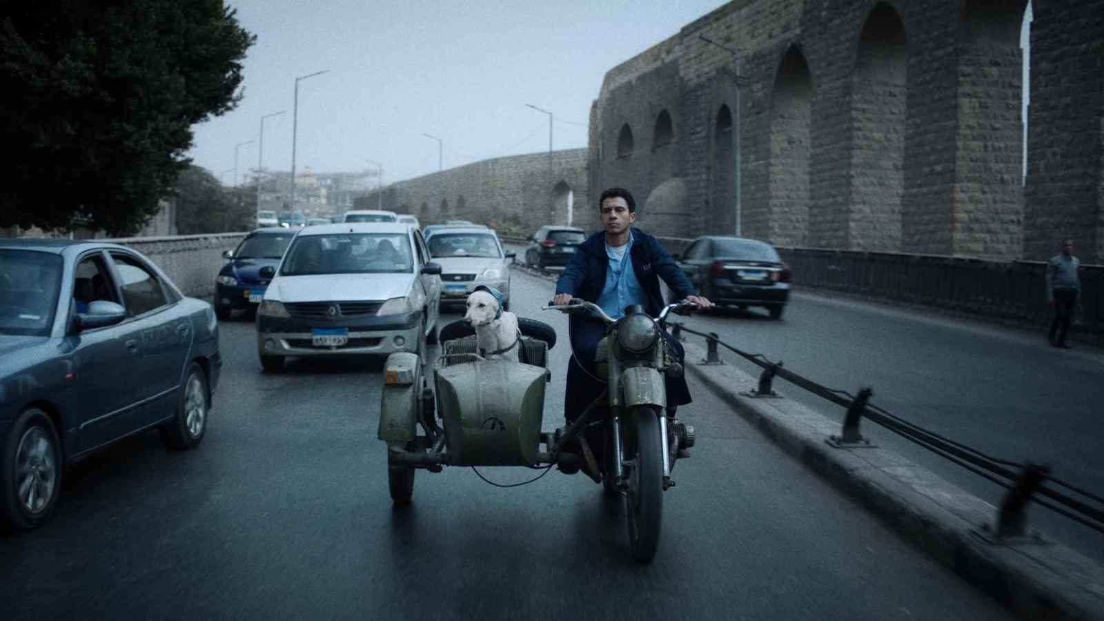 "رامبو".. ما قصة أول كلب بلدي يُشارك في مهرجانات عالمية؟