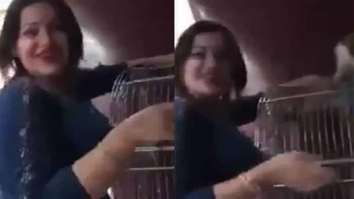 حبس مصرية 3 سنوات بتهمة التحرش بـ"قرد"