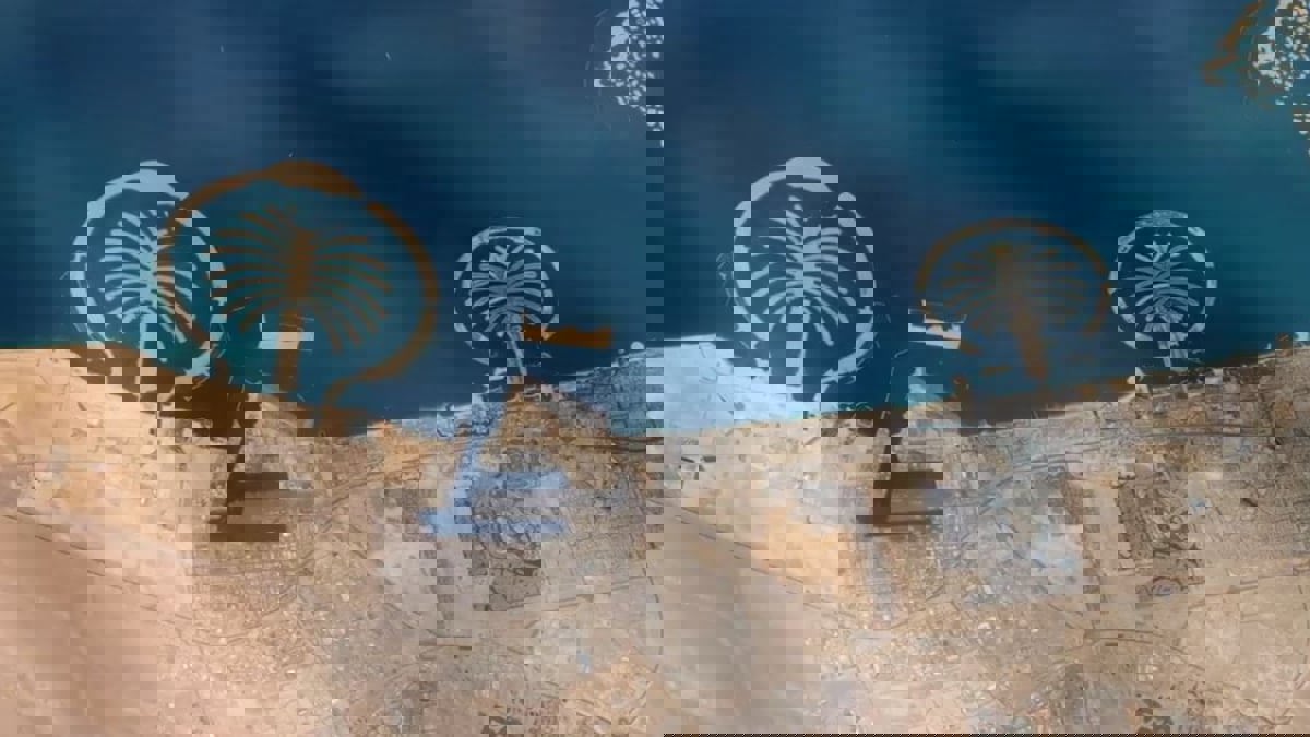 محمد بن راشد يعلن خطة لإنشاء جزيرة نخلة جبل علي
