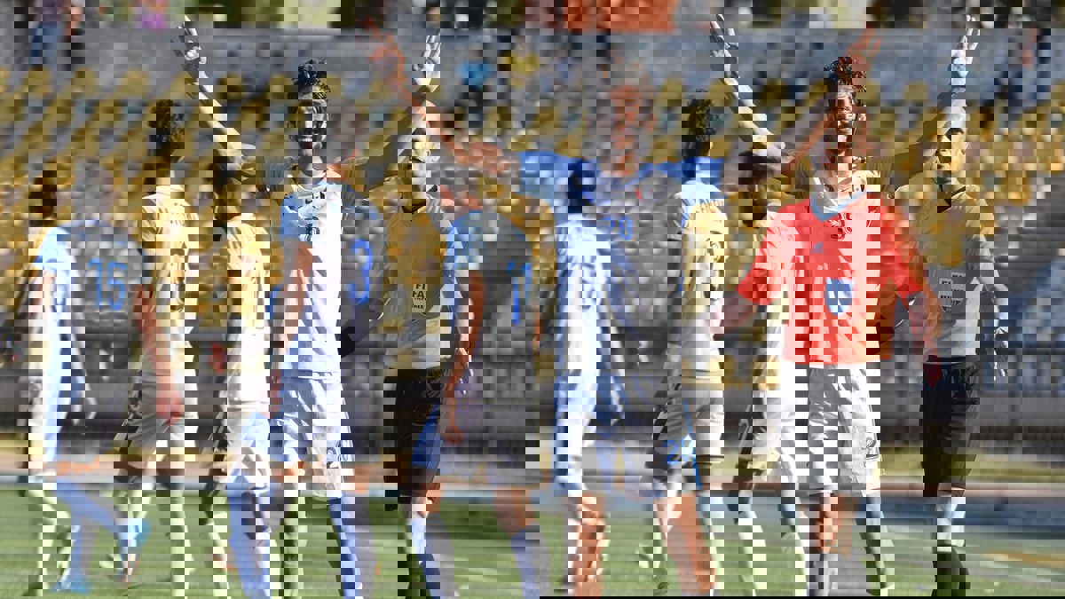 بعد تتويجه بطلًا للدوري السوري.. نادي الفتوة يطبع النجمة الثالثة على قميصه بعد غياب 32 عامًا (فيديو)