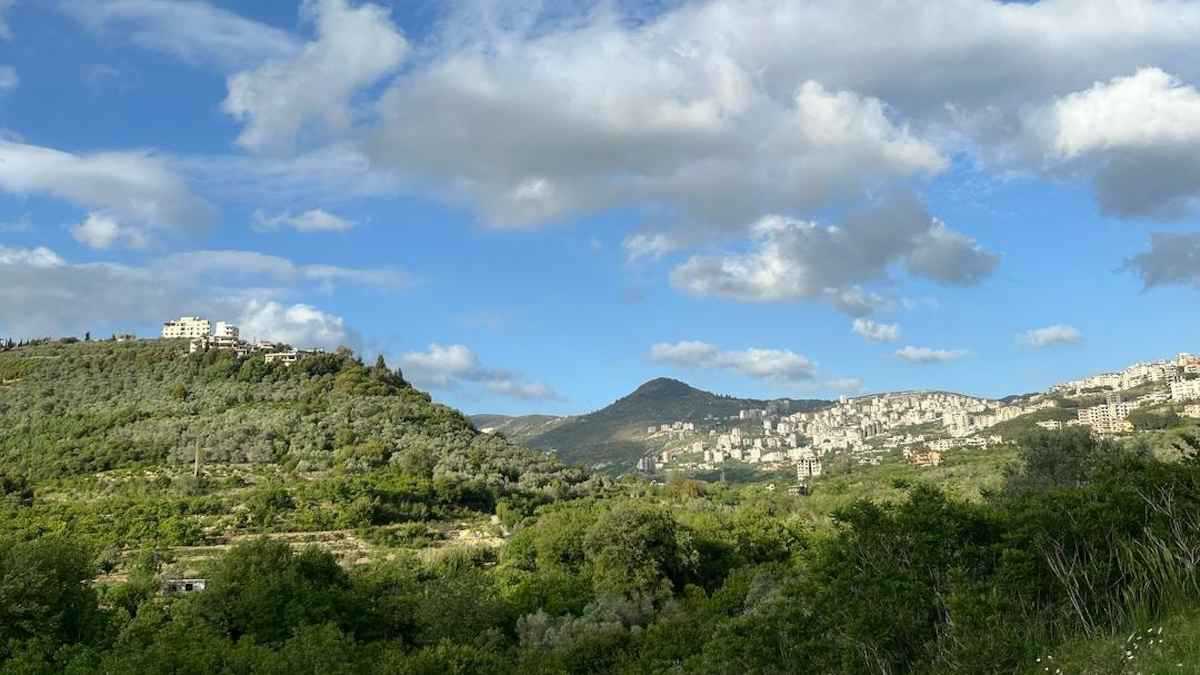 "وحوش مفترسة" غامضة تهاجم المزارع في صافيتا السورية (فيديو)