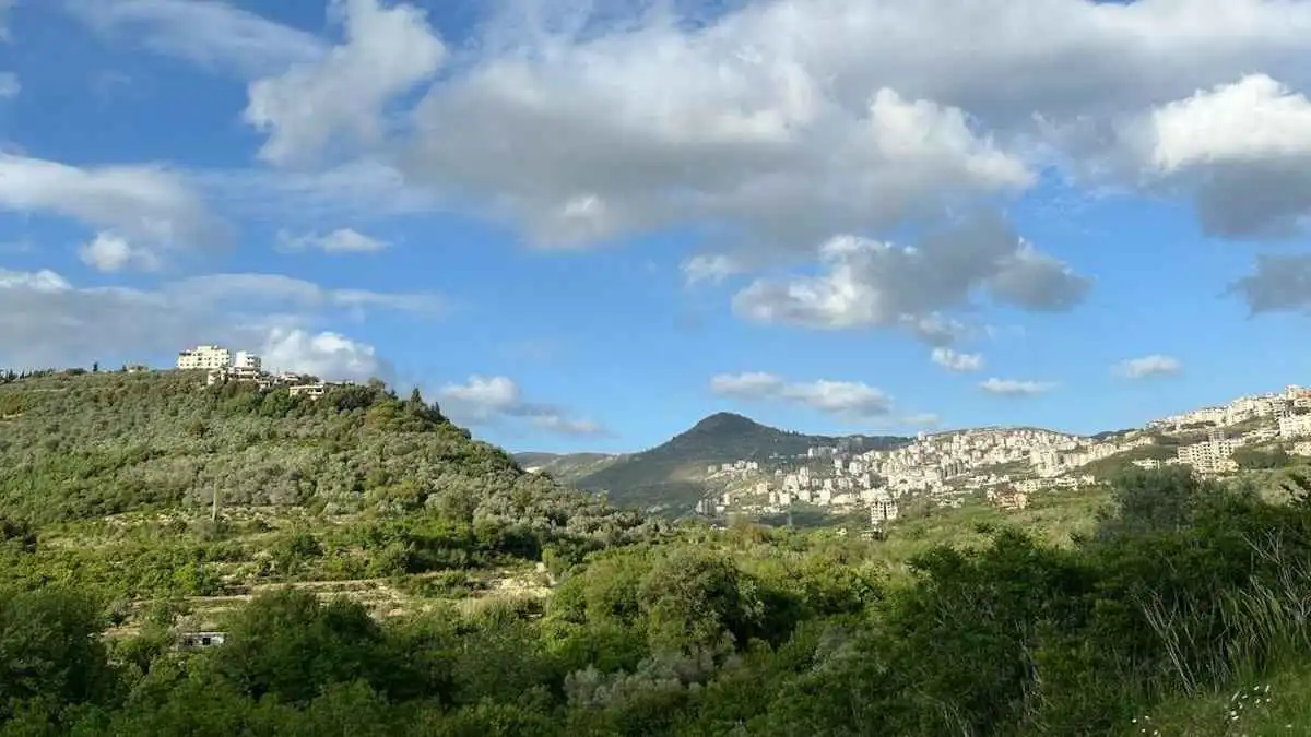 "وحوش مفترسة" غامضة تهاجم المزارع في صافيتا السورية (فيديو)