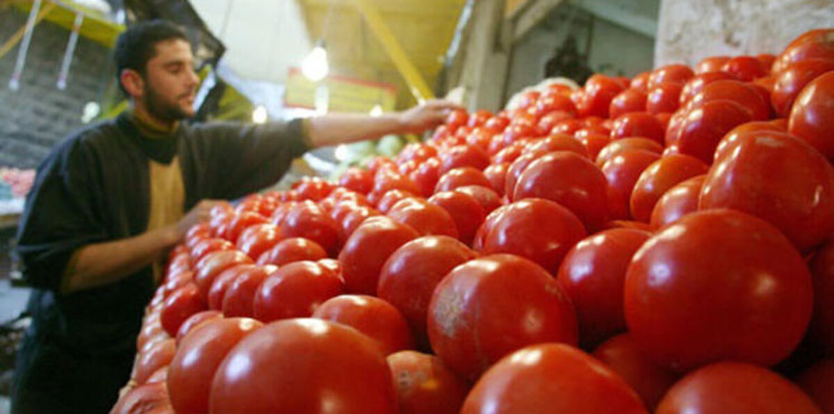 مزارعون أردنيون يحتجون بالطماطم (صور)