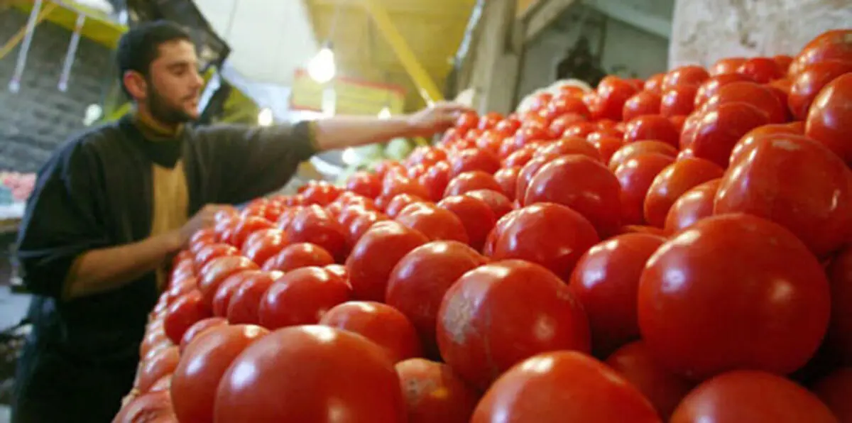 مزارعون أردنيون يحتجون بالطماطم (صور)