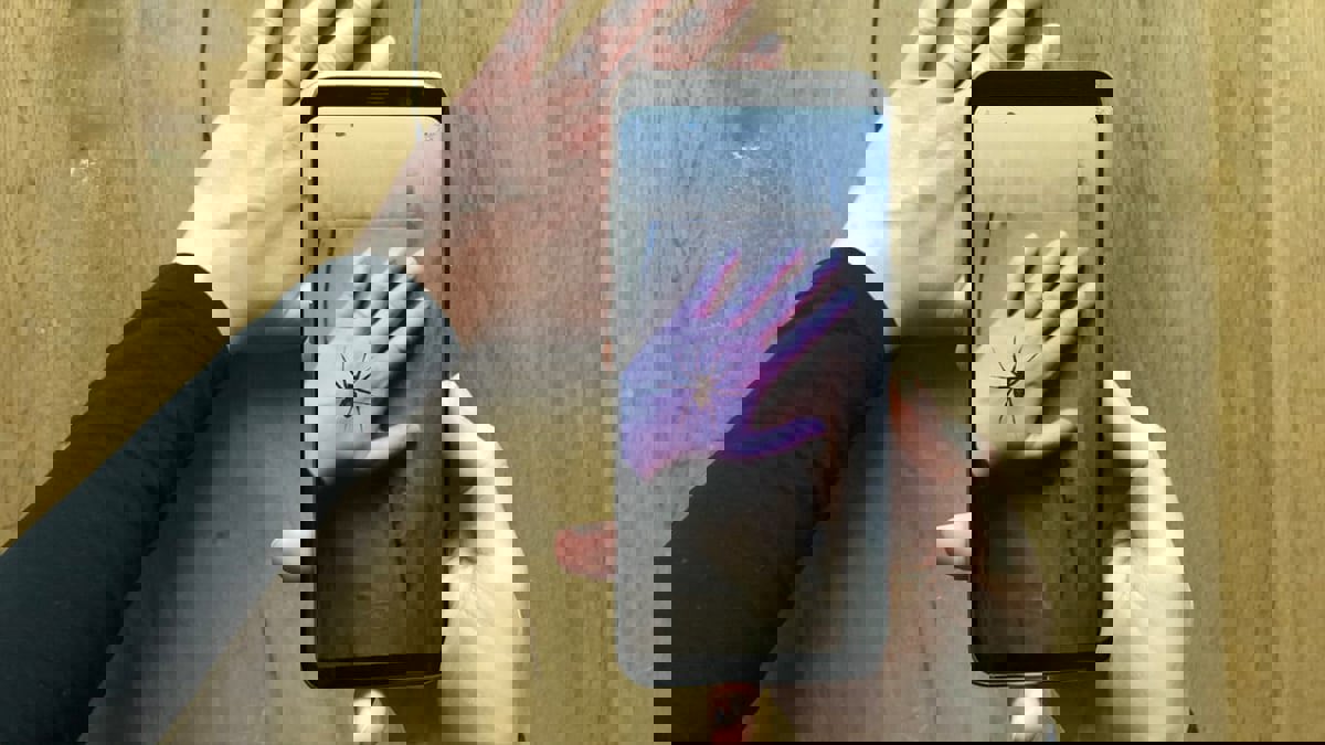 "العناكب الافتراضية".. تطبيق يساعد المصابين برهاب الحشرات الزاحفة