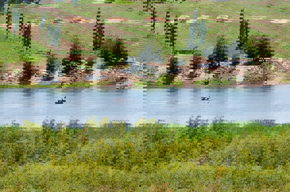 الزراعة.. ملاذ الحكومة السورية للحصول على العملة الأجنبية