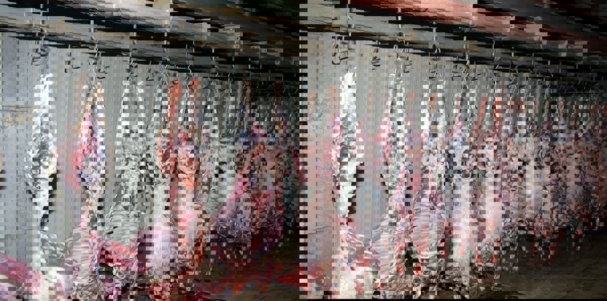 بعد توريد الخضار والفواكه.. لحوم إيرانية في السوق القطرية