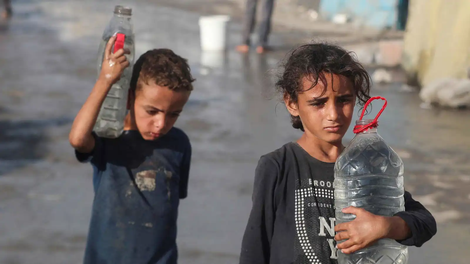 انهيار صحي كامل.. منظمات حقوقية تطلق النداء الأخير بشأن غزة