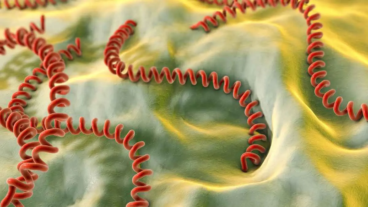 مرض يصيب السكان الأصليين يخطف حياة 8 أطفال في الإكوادور