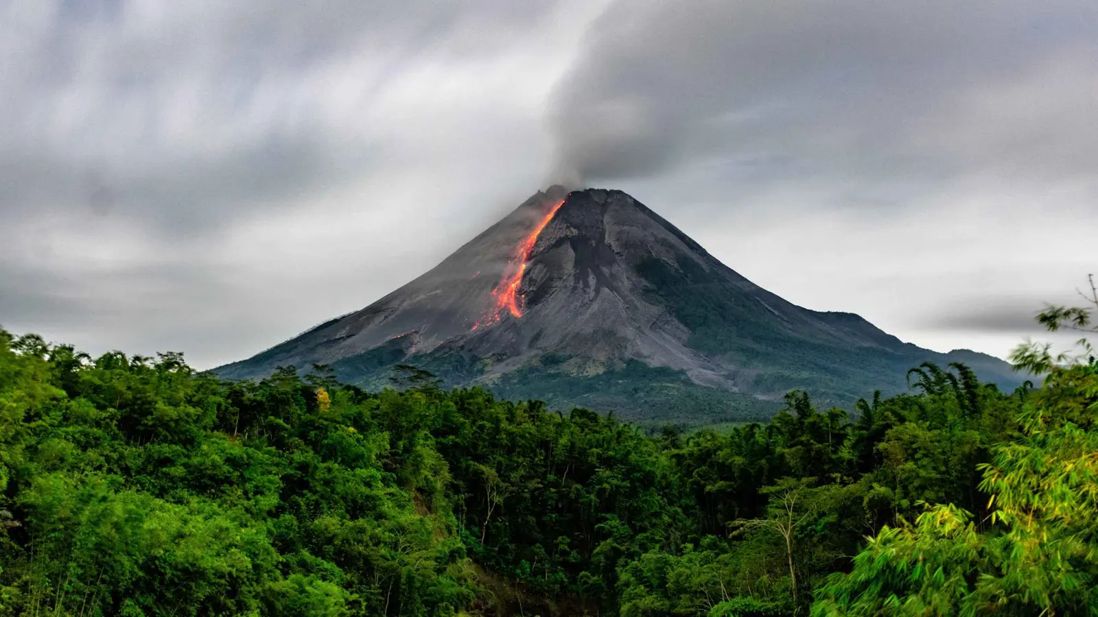 كيف تُصدر الأشجار إنذاراً مسبقاً من البركان قبل ثورانه؟