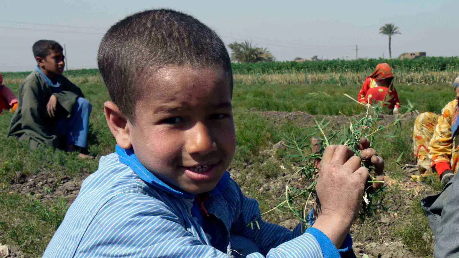 "ساعات العمل والمهن الخطرة".. مصر تضع قواعد لتشغيل الأطفال