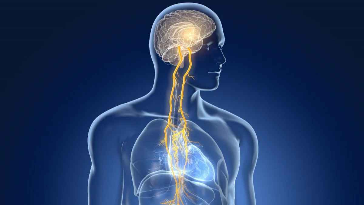 هل يمكن لتمارين العصب المبهم على تيك توك أن تساعد في الاسترخاء؟