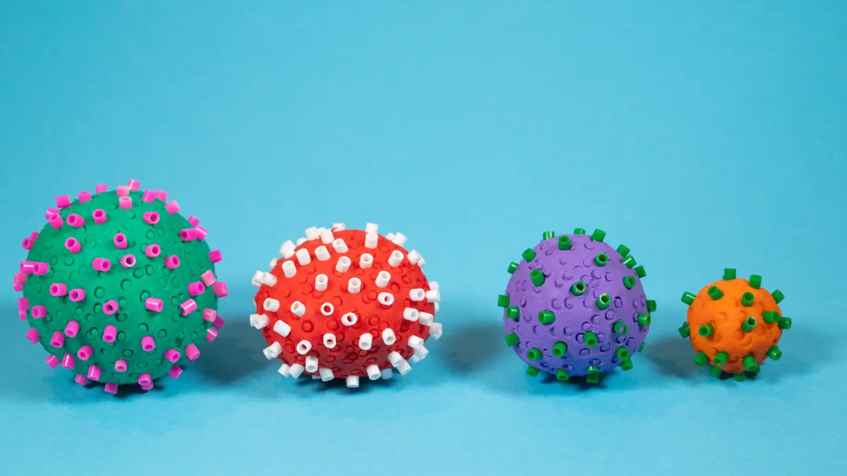 "بيرولا ".. سلالة مختلفة من كورونا هذا الخريف