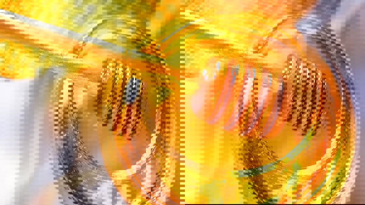 8 علاجات طبيعية فعالة لعلاج الإكزيما.. تعرف عليها