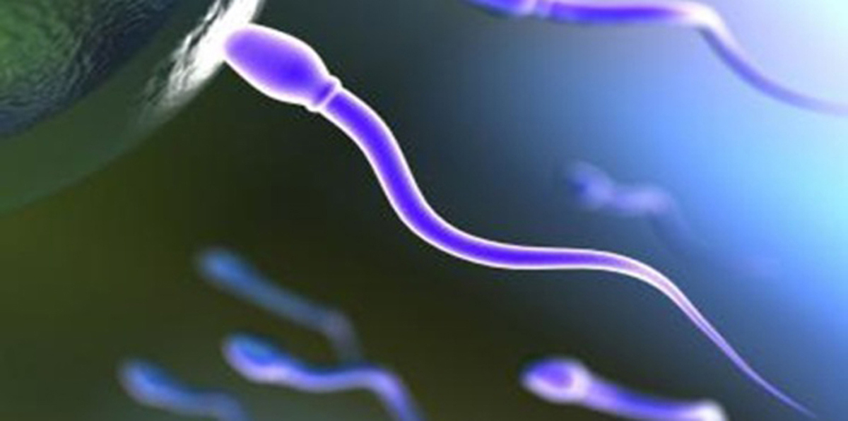 متبرع بحيوانات منوية يلتقي ببعض أبنائه الـ22 للمرة الأولى