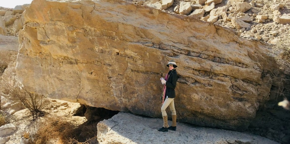 مصر تعلن عن اكتشاف أثري مهم بصحراء الكاب في أسوان (صور)