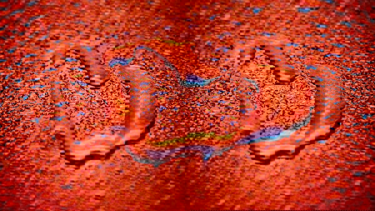 ما هو "الحب المائع" الذي أصبح شائعا بين الناس؟