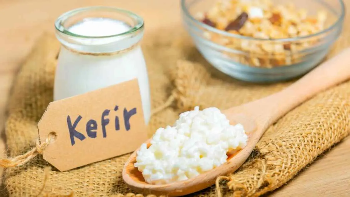 صباحا أم مساء.. ما الوقت الأنسب لشرب الكفير؟