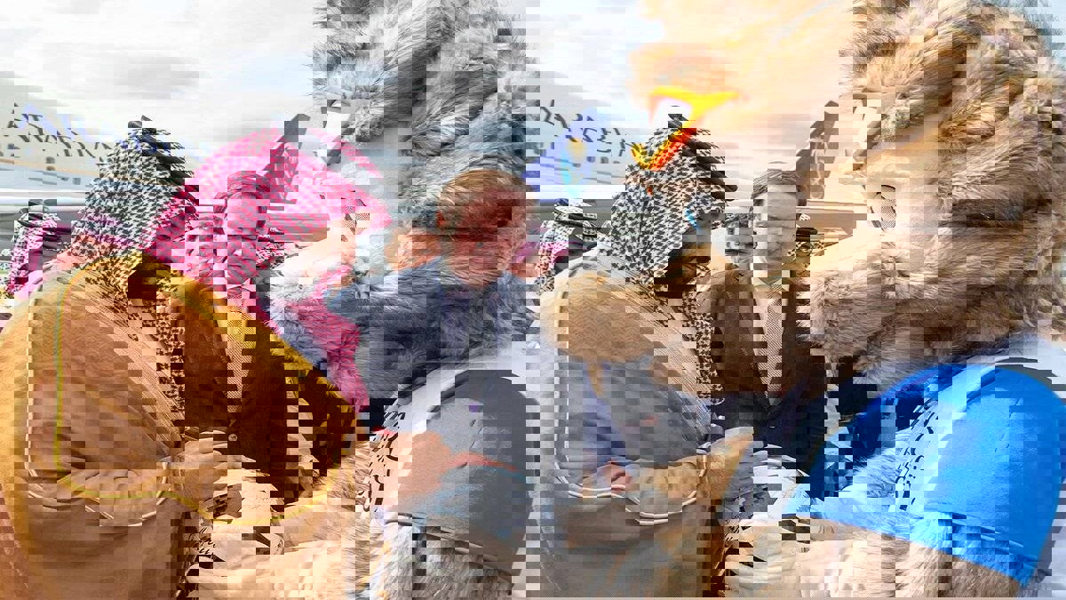 آرسنال يا ولي العهد.. هل يستجيب محمد بن سلمان للجماهير السعودية ويشتري نادي "المدفعجية"؟