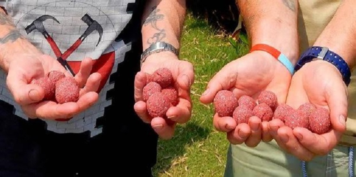 بريطانيان يصطادان سمكة عملاقة باستخدام رفات صديقهما (صور)