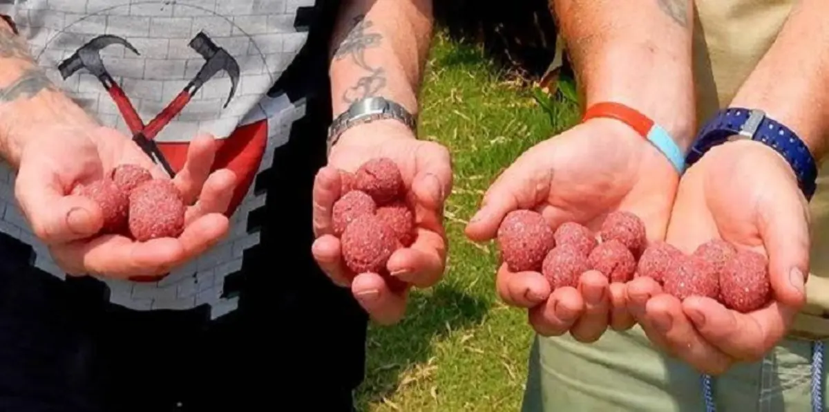 بريطانيان يصطادان سمكة عملاقة باستخدام رفات صديقهما (صور)