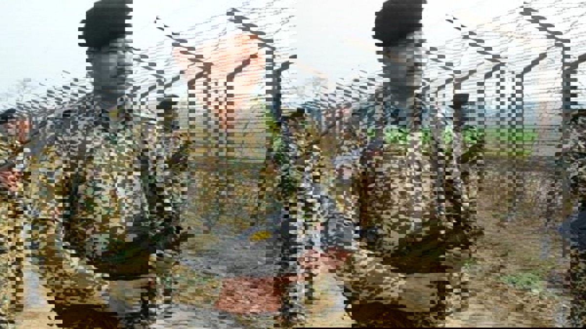 هل يطوي وعد باكستان بالإفراج عن الطيار الهندي الأسير صفحة التوتر؟